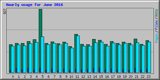 Hourly usage for June 2016