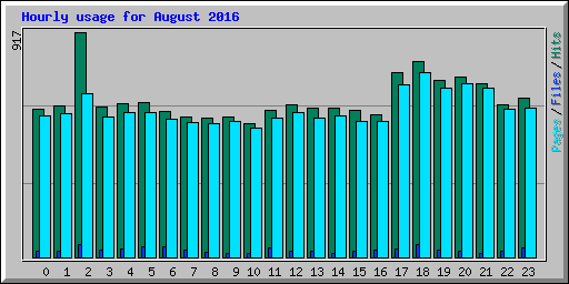 Hourly usage for August 2016