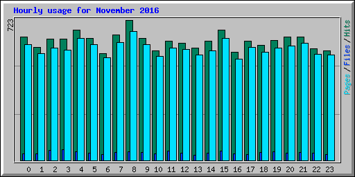 Hourly usage for November 2016