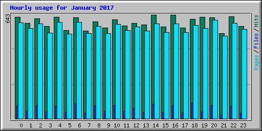 Hourly usage for January 2017